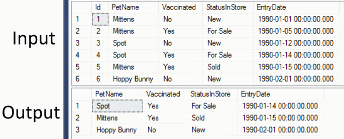 Pet Shop Search Results